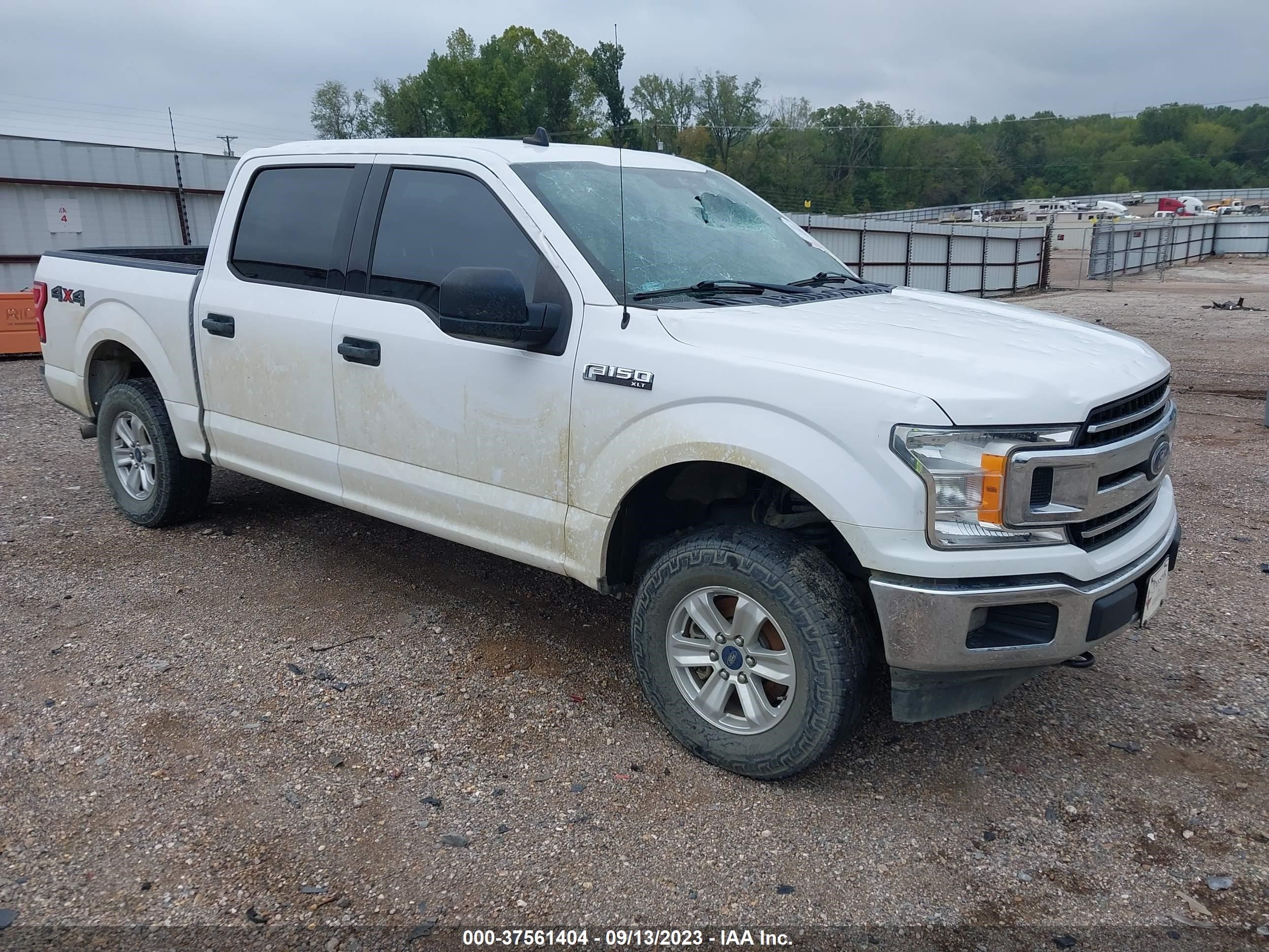 FORD F-150 2019 1ftew1ep8kkc31607