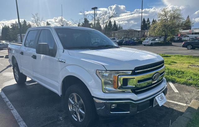 FORD F-150 2019 1ftew1ep8kkd12848