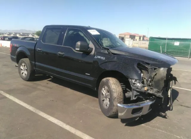 FORD F-150 2015 1ftew1ep9fke34477