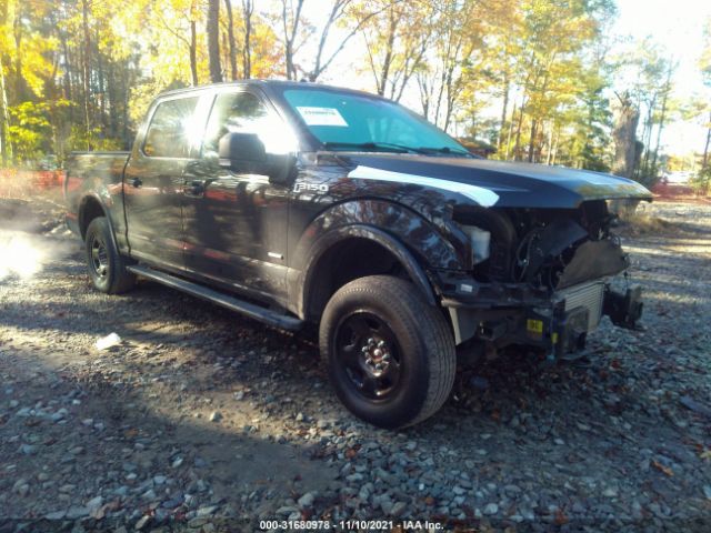 FORD F-150 2016 1ftew1ep9gfa99991