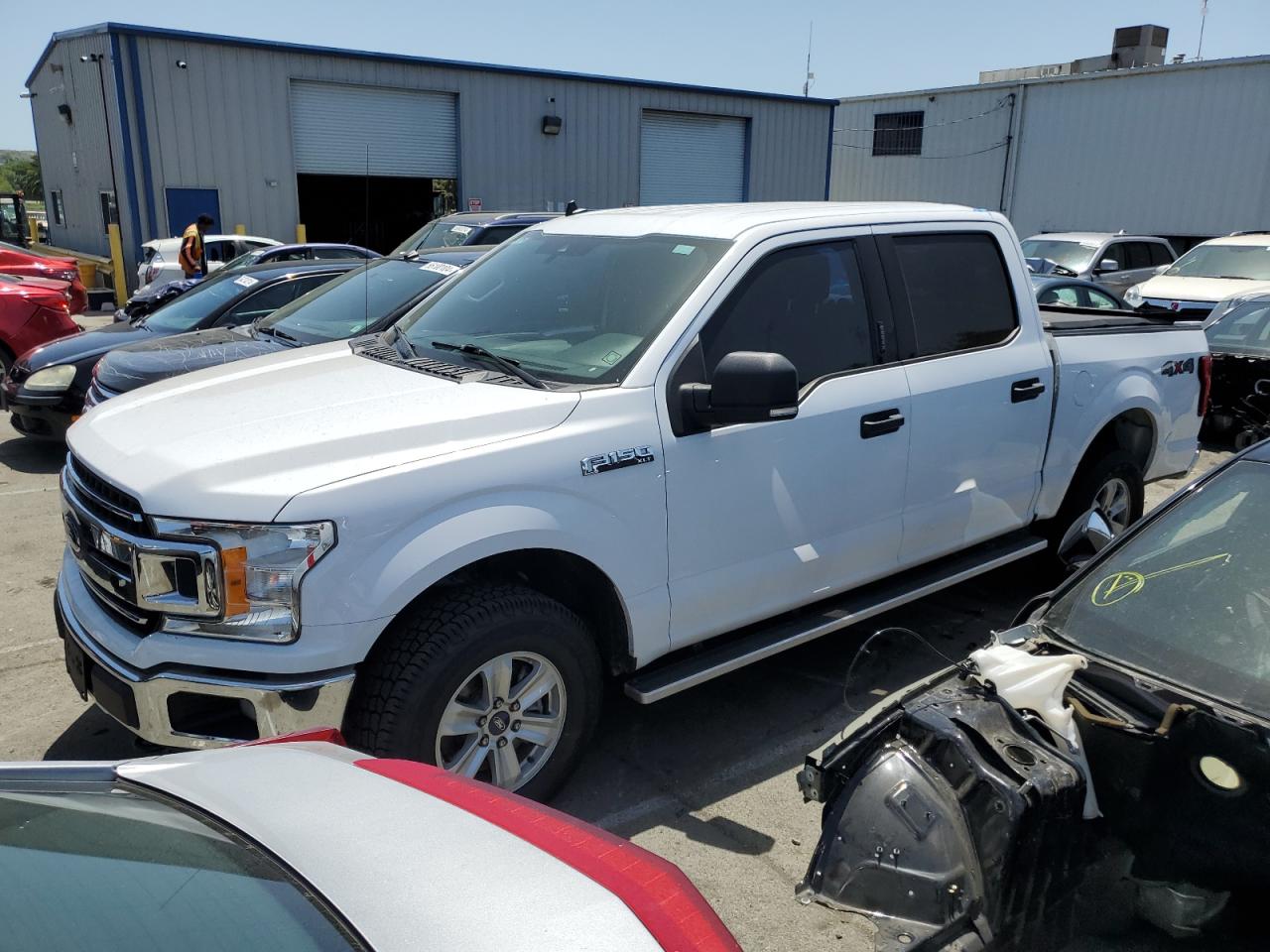 FORD F-150 2019 1ftew1ep9kkc36217