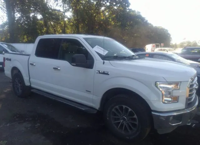 FORD F-150 2015 1ftew1epxffa01131