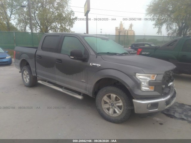 FORD F-150 2015 1ftew1epxfkd82972