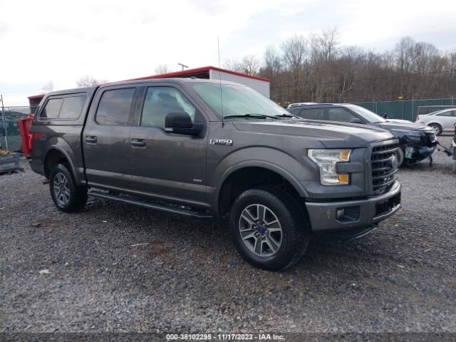 FORD F-150 2015 1ftew1epxfke34441