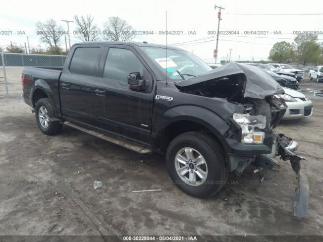 FORD F-150 2016 1ftew1epxgfd07098