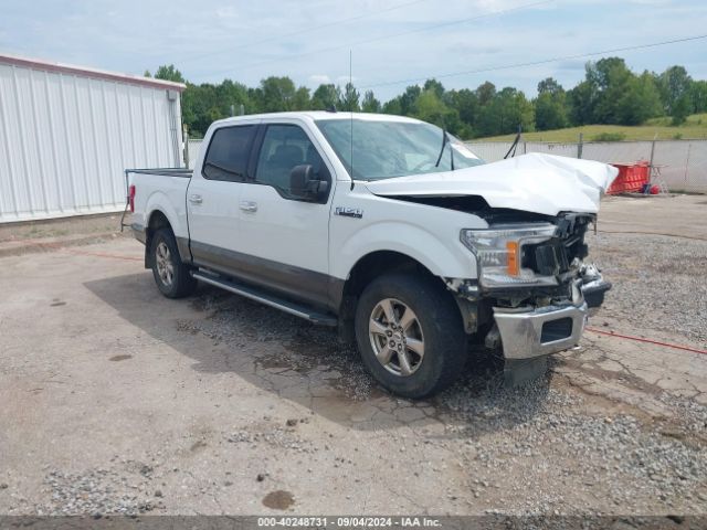 FORD F-150 2019 1ftew1epxkfb35387