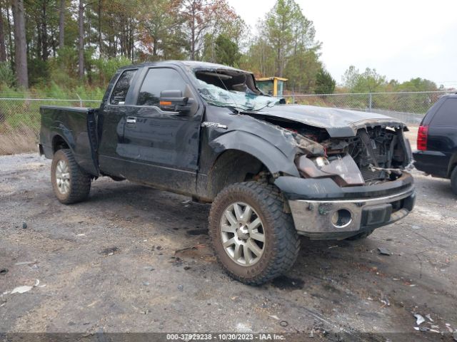 FORD F-150 2010 1ftex1c81afc04233