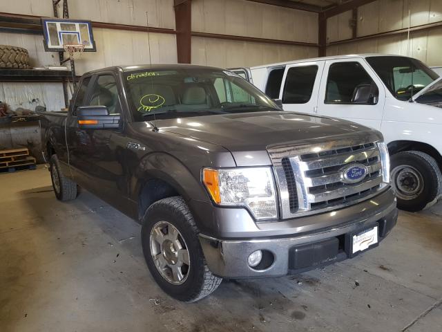 FORD F150 SUPER 2010 1ftex1c83afc46824