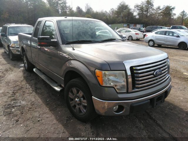 FORD F-150 2010 1ftex1c83afd38242