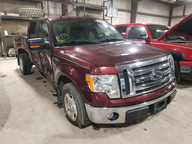 FORD F150 SUPER 2010 1ftex1c84afa02812