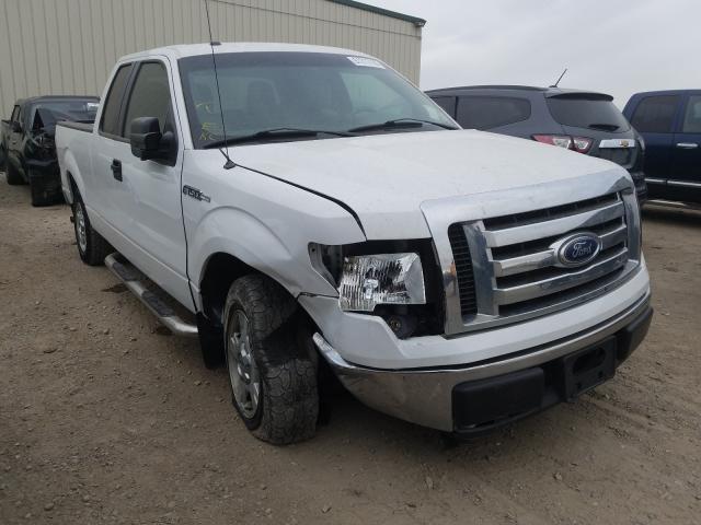 FORD F150 SUPER 2010 1ftex1c85afc54603