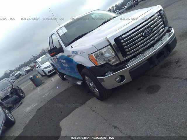 FORD F-150 2010 1ftex1c86afb18481