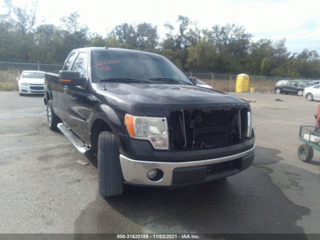 FORD F-150 2010 1ftex1c86afc44419