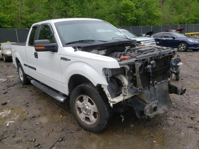 FORD F150 SUPER 2010 1ftex1c88afa06457