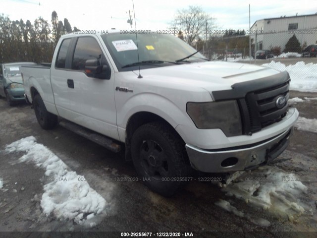 FORD F-150 2010 1ftex1c88afb96521