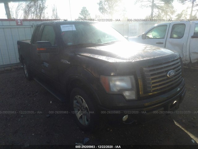 FORD F-150 2010 1ftex1c89akc01216