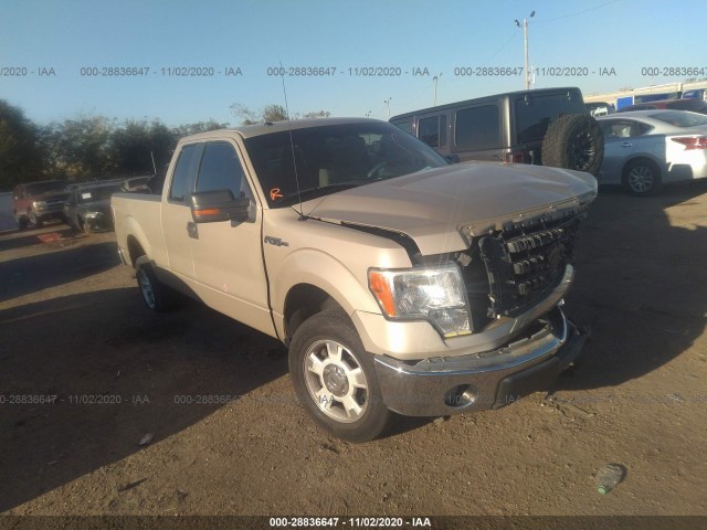 FORD F-150 2010 1ftex1c8xake08021