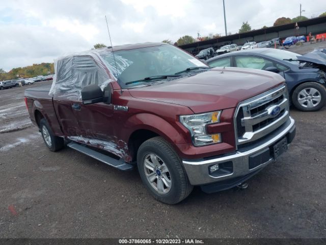 FORD F-150 2015 1ftex1cg5ffd05841