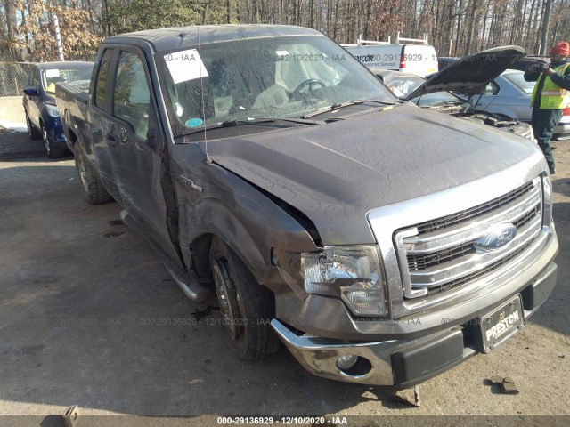 FORD F-150 2013 1ftex1cm0dfb81013