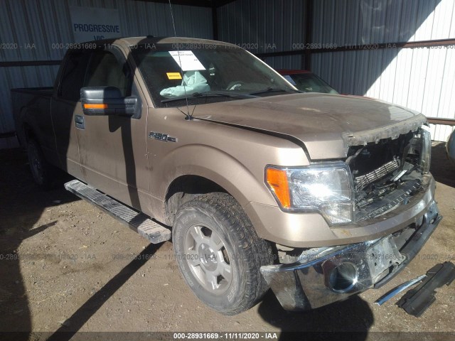 FORD F-150 2013 1ftex1cm4dkg53592