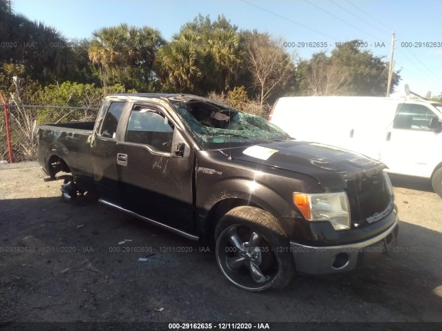 FORD F-150 2013 1ftex1cm8dfd01074