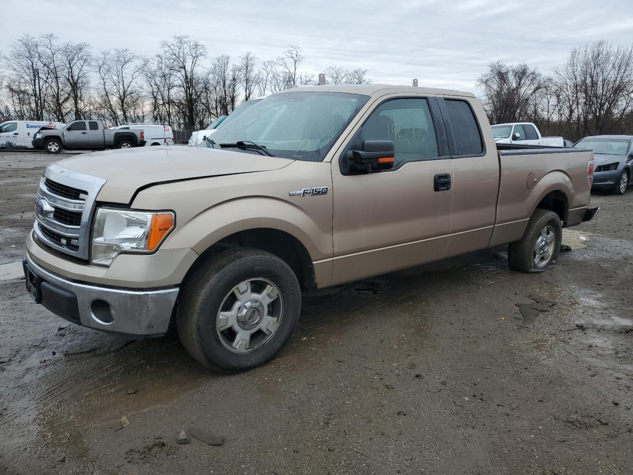 FORD F-150 2014 1ftex1cm8ekg12173