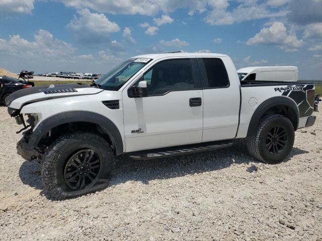 FORD F150 SUPER 2010 1ftex1e63afd62150