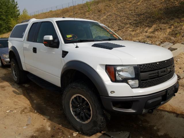 FORD F150 SUPER 2010 1ftex1e69afb99150