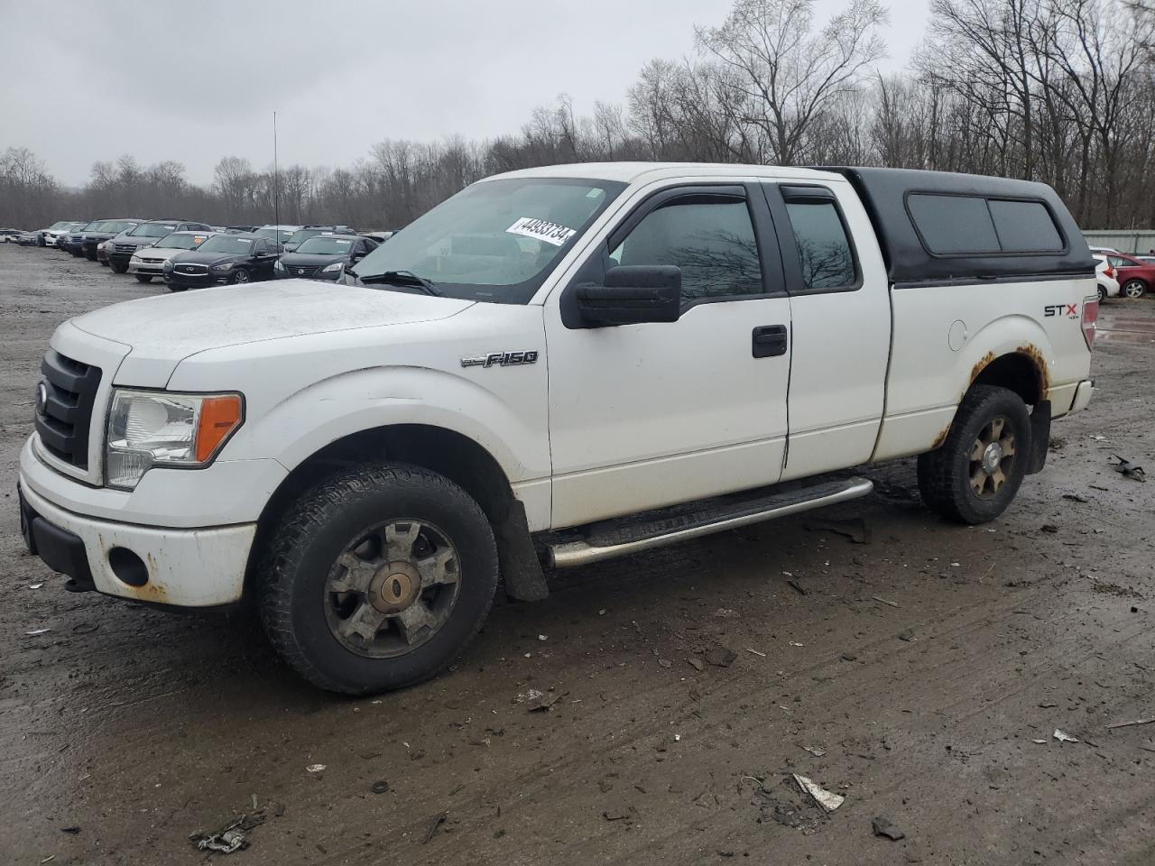 FORD F-150 2010 1ftex1e80afb97546