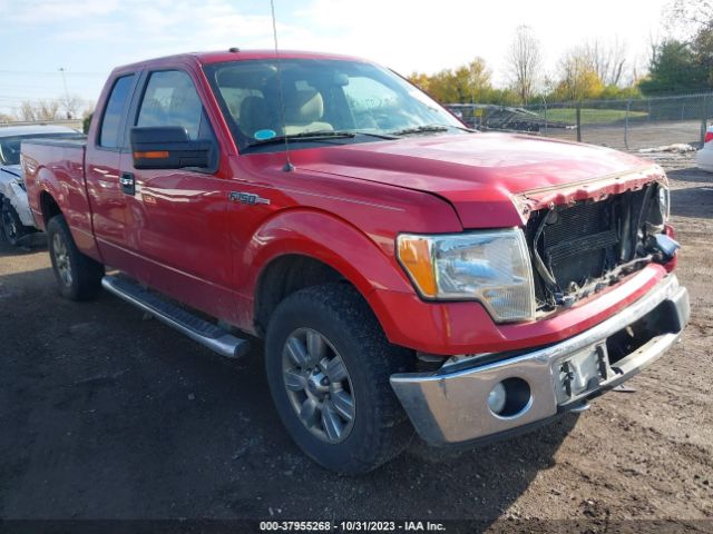 FORD F-150 2010 1ftex1e80afc77302