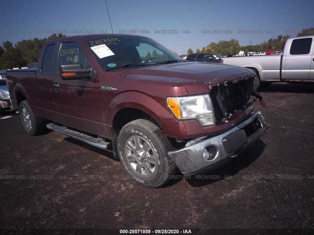 FORD F-150 2010 1ftex1e80afd03218