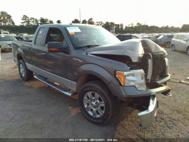 FORD F-150 2010 1ftex1e80afd48045