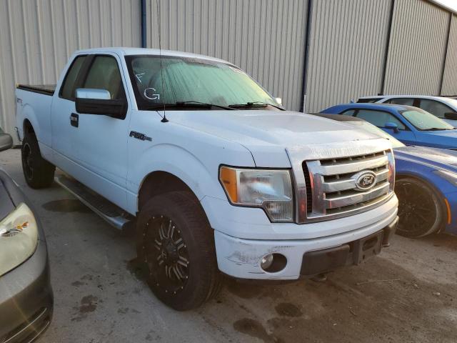 FORD F150 SUPER 2010 1ftex1e80afd74046