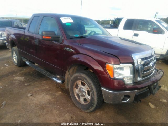 FORD F-150 2010 1ftex1e81afa07429