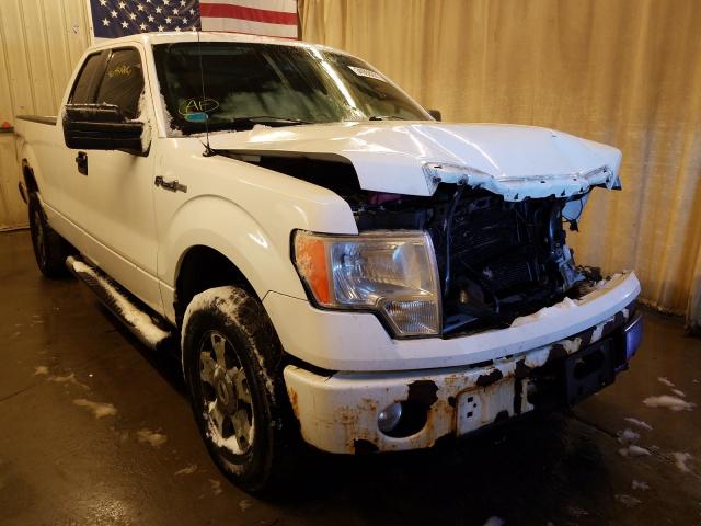 FORD F150 SUPER 2010 1ftex1e81afa95396