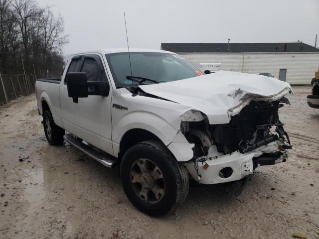 FORD F150 SUPER 2010 1ftex1e81afb60036