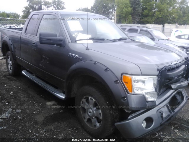 FORD F-150 2010 1ftex1e81afb66676