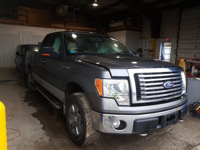 FORD F150 SUPER 2010 1ftex1e81afc02706