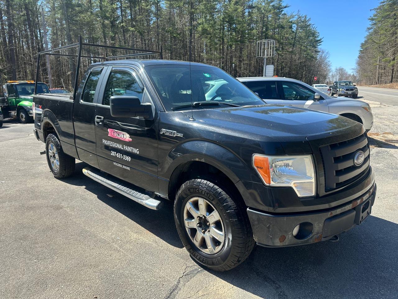 FORD F-150 2010 1ftex1e81afc20395