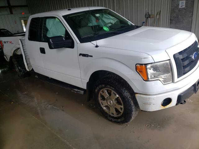 FORD F150 SUPER 2010 1ftex1e81afc67667