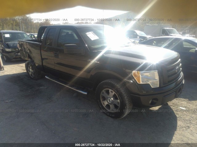 FORD F-150 2010 1ftex1e81afd30959