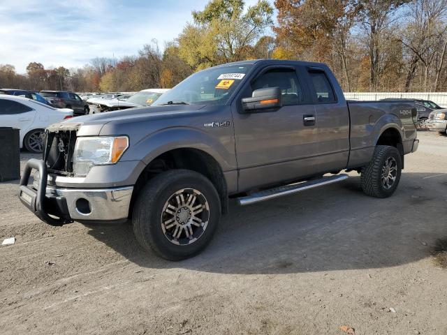 FORD F150 SUPER 2010 1ftex1e81afd63928