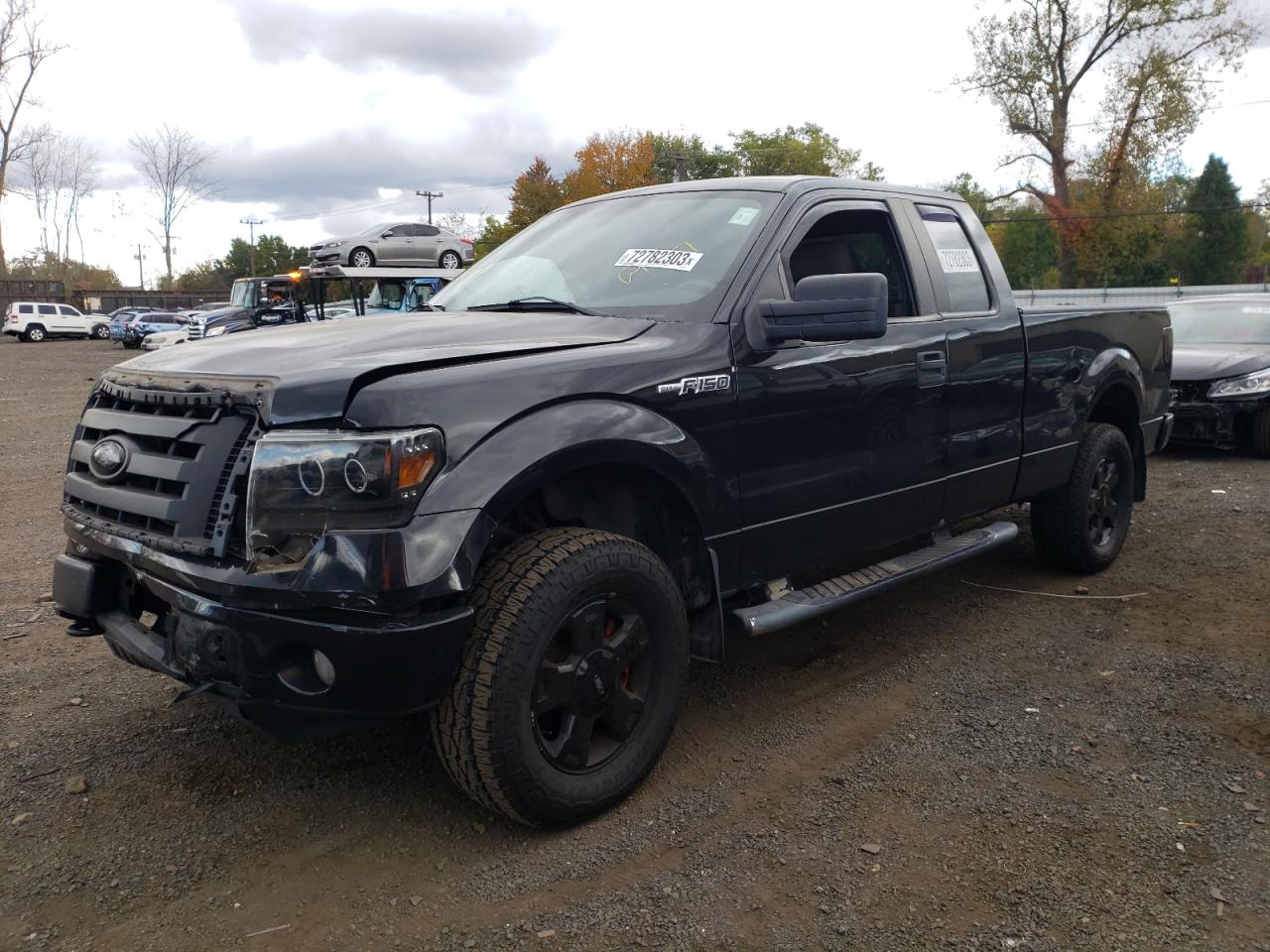 FORD F-150 2010 1ftex1e82afa69499