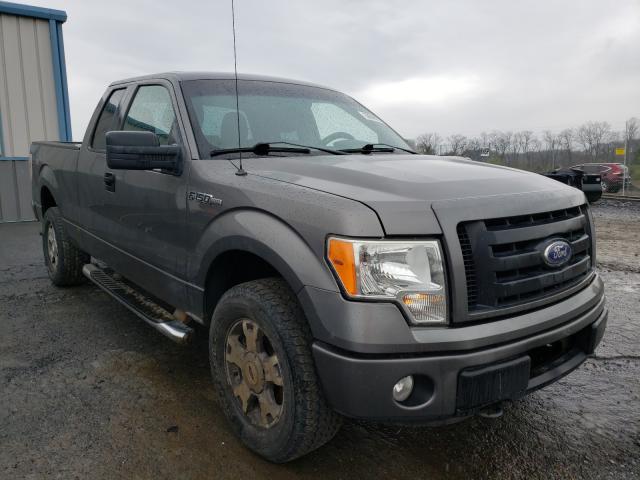 FORD F150 SUPER 2010 1ftex1e82afa87503