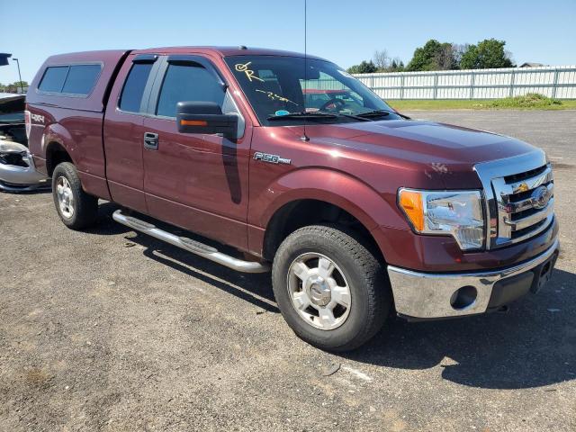 FORD F150 SUPER 2010 1ftex1e82afb15154