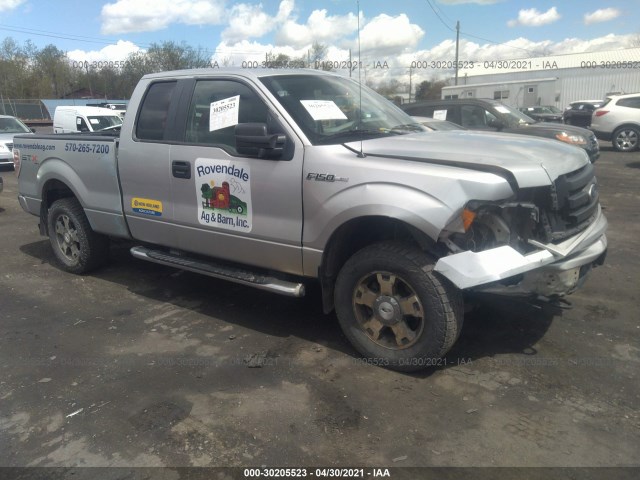 FORD F-150 2010 1ftex1e82afb34660