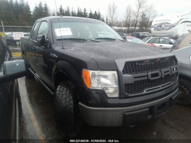 FORD F-150 2010 1ftex1e82afc26058