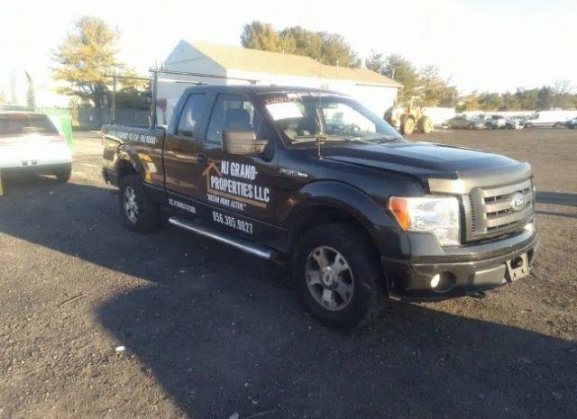 FORD F-150 2010 1ftex1e82afc31227