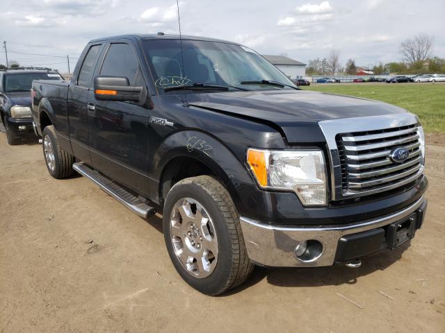 FORD F150 SUPER 2010 1ftex1e82afd12471