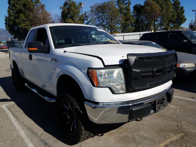 FORD F150 SUPER 2010 1ftex1e82afd56731